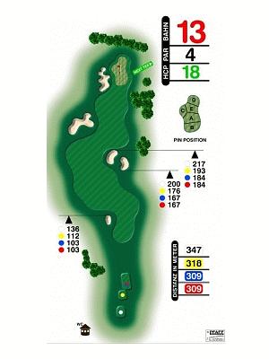 10540-golfclub-gut-glinde-e-v-hole-13-157-0.gif