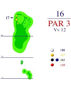 10944-golfverband-schleswig-holstein-e-v-hole-16-129-0.jpg